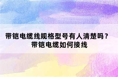 带铠电缆线规格型号有人清楚吗？ 带铠电缆如何接线